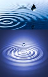 purifier -ripple effect