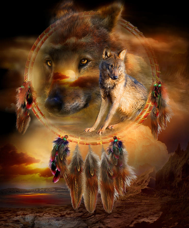 dream-catcher-wolfland-carol-cavalaris