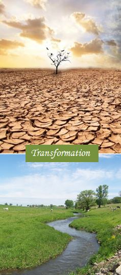 transformation-greenland